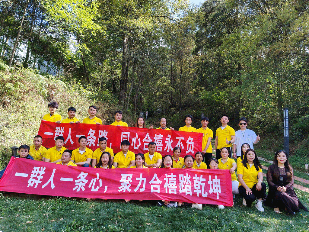 图片6 图片6