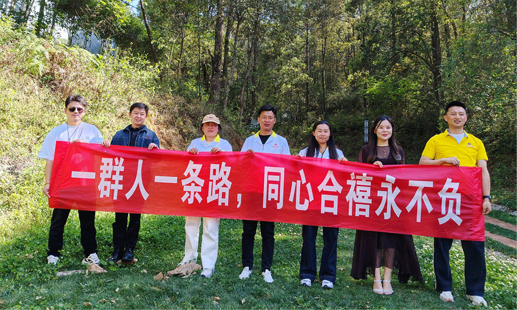 图片4 图片4
